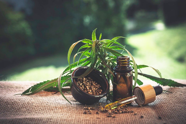 What To Learn About The CBD Oil Tincture