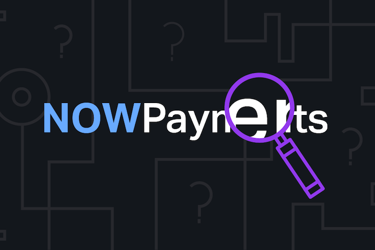 What is NOWPayments?