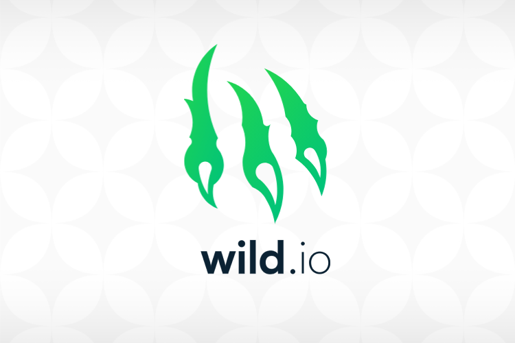 Exploring the Rise of Cryptocurrency Casinos: A Review of Wild.io Casino