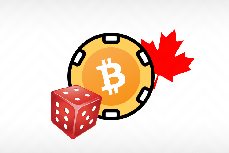 Monetize Your Expertise: Turning Web Marketing Skills into Casino Wins in Canada